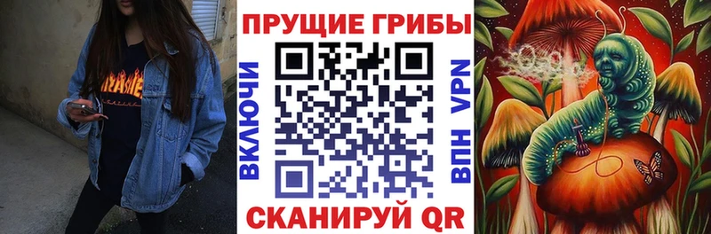 Псилоцибиновые грибы мицелий  Ачхой-Мартан 