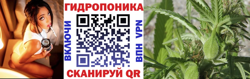 Бошки марихуана гибрид  Ачхой-Мартан 